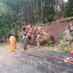 Rumpun Bambu Longsor Di Tegalrejo, Timpa Sebuah Mobil Mewah